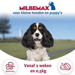 Milbemax Milbemax Pup & Hond - Anti wormenmiddel - 2 tab 0.5-10kg