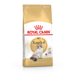 Royal Canin Ragdoll Adult - Kattenvoer - 10 kg