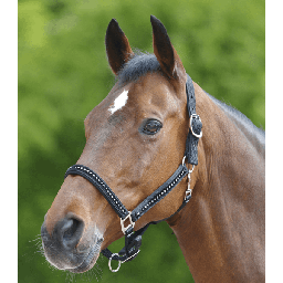 Waldhausen Halster Chrystal Verstelbaar Zwart - Paardenhalster - Pony